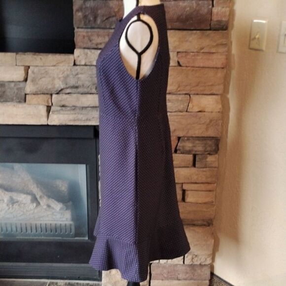 NWOT J. Crew Polka Dot Dress - Picture 4 of 9